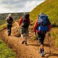 We organize world-class treks like Kedarkantha (₹5,999) and Bali Pass (₹22,000) with local expertise.